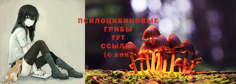 Галлюциногенные грибы MAGIC MUSHROOMS  KRAKEN как зайти  Малаховка  купить наркотик 